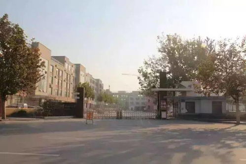 還原15年前的單縣，你還記得實驗小學的那些年嗎？